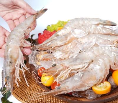 天然大エビ（殻付き）